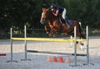 01 juillet mardi Sabot d'or