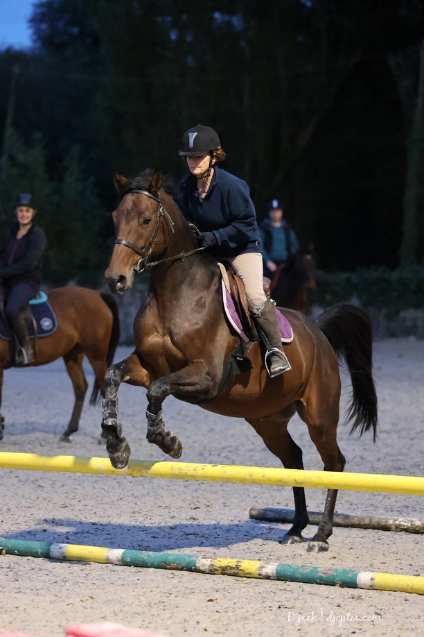 IMG 2020