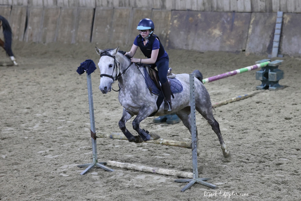 IMG 4031