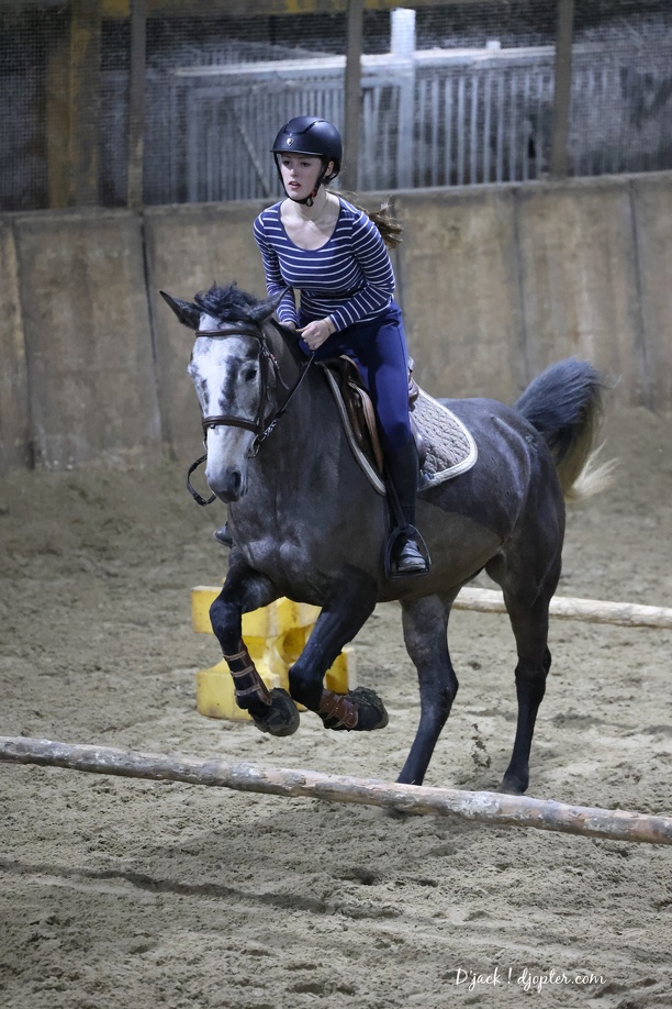 IMG 7996