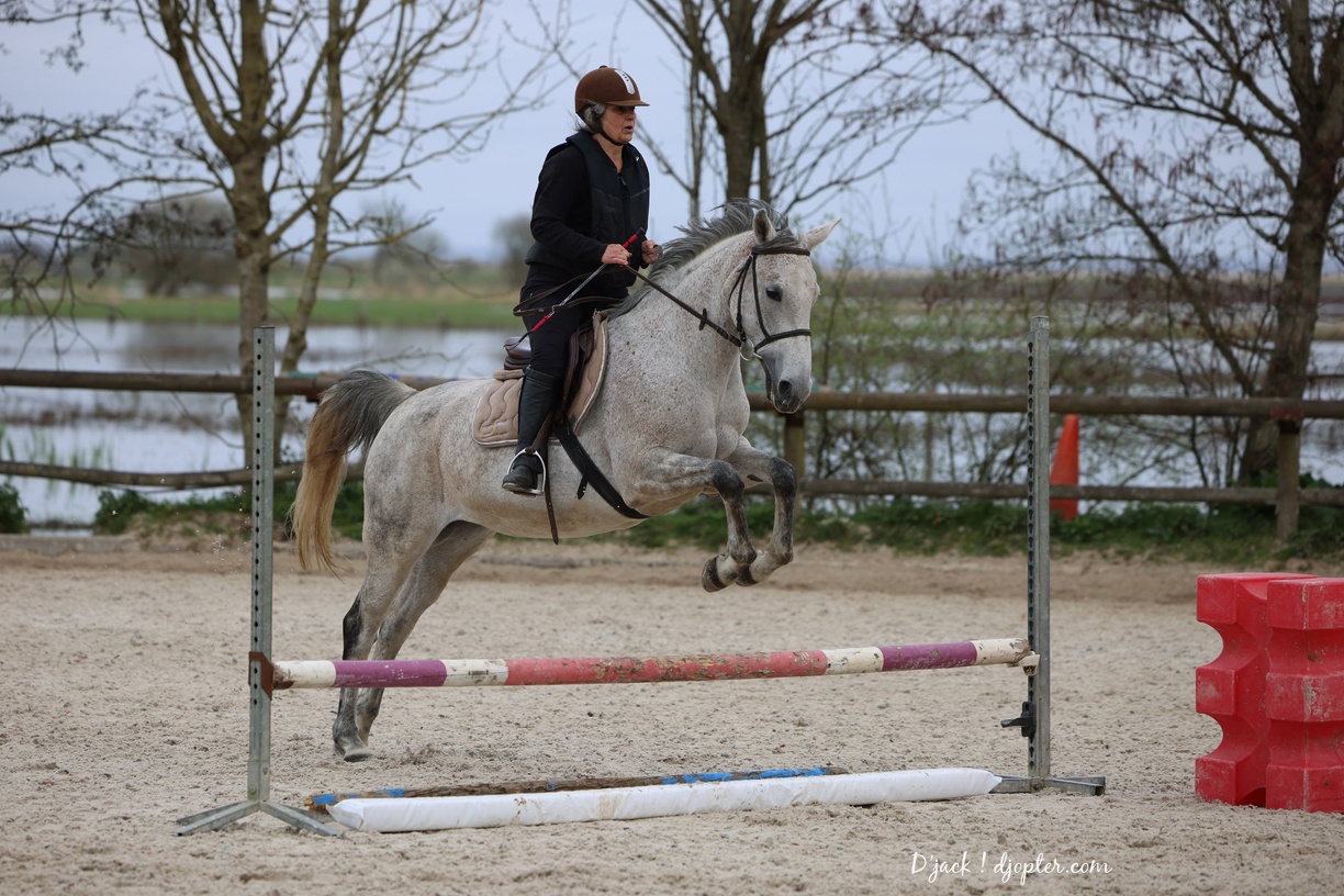 IMG 7760