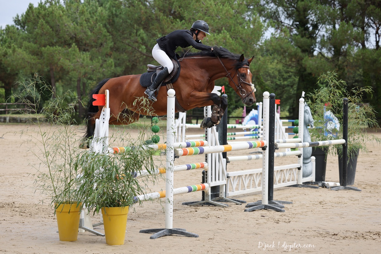 IMG 1386