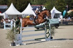 Equitation Concours CSO, Horse Ball, Carrousel