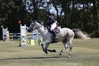 Equitation Concours CSO, Horse Ball, Carrousel