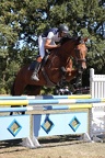 Equitation Concours CSO, Horse Ball, Carrousel