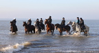 Chevaux Plages