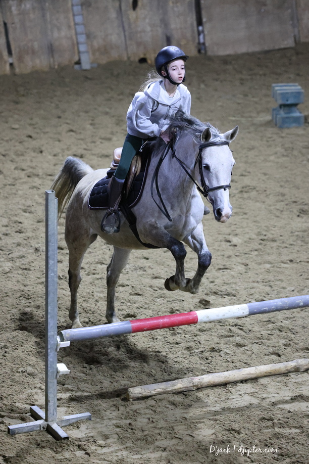 IMG 2547