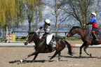 15 mars dimanche Horse Ball Sabot d'or 2026