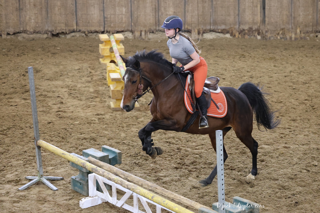 IMG 3174