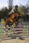 31 mars mardi Sabot d'or