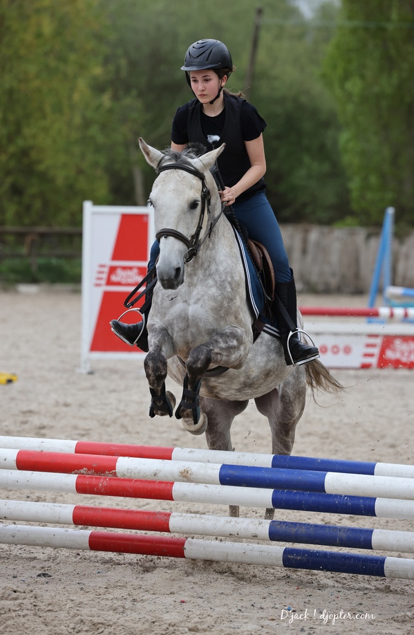 IMG 4272