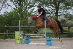 Equitation reprises