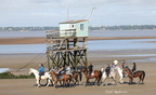 Chevaux Plages