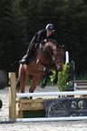 Equitation Concours CSO, Horse Ball, Carrousel