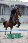 Equitation reprises