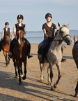 Chevaux Plages