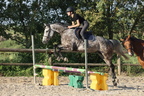 Equitation reprises