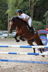 Equitation Concours CSO, Horse Ball, Carrousel