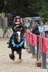 Equitation Concours CSO, Horse Ball, Carrousel