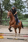 Equitation reprises